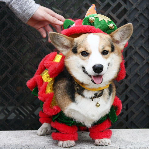 Lion Dance Costume